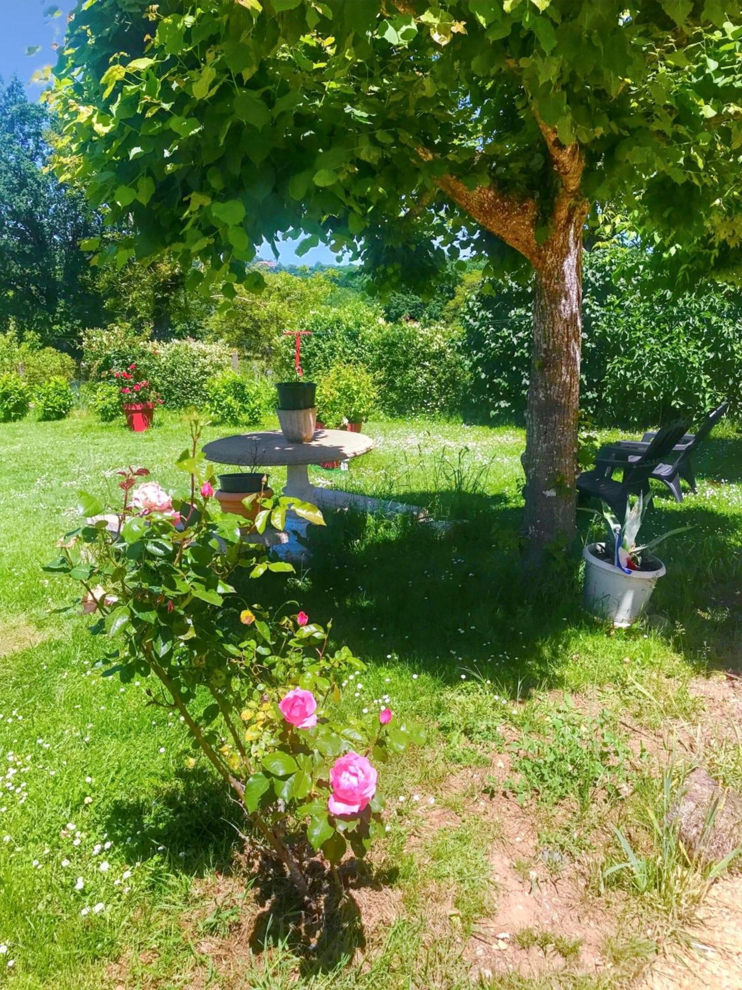 Appartement Charmant A Toulonjac Avec Jardin Et Terrasse 110 M² エクステリア 写真