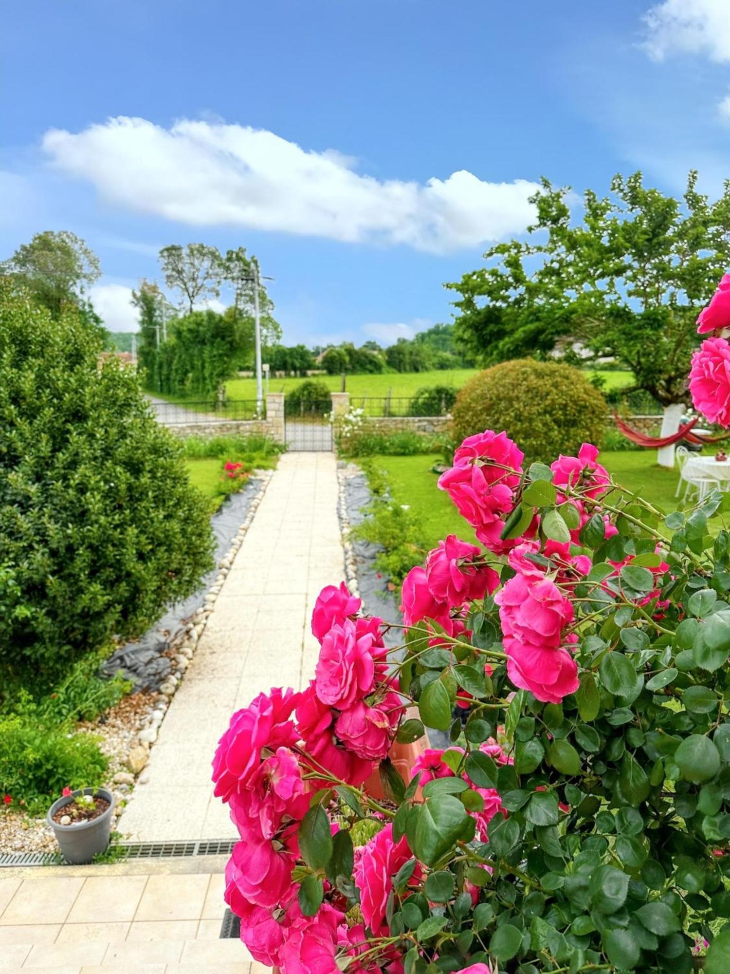 Appartement Charmant A Toulonjac Avec Jardin Et Terrasse 110 M² エクステリア 写真